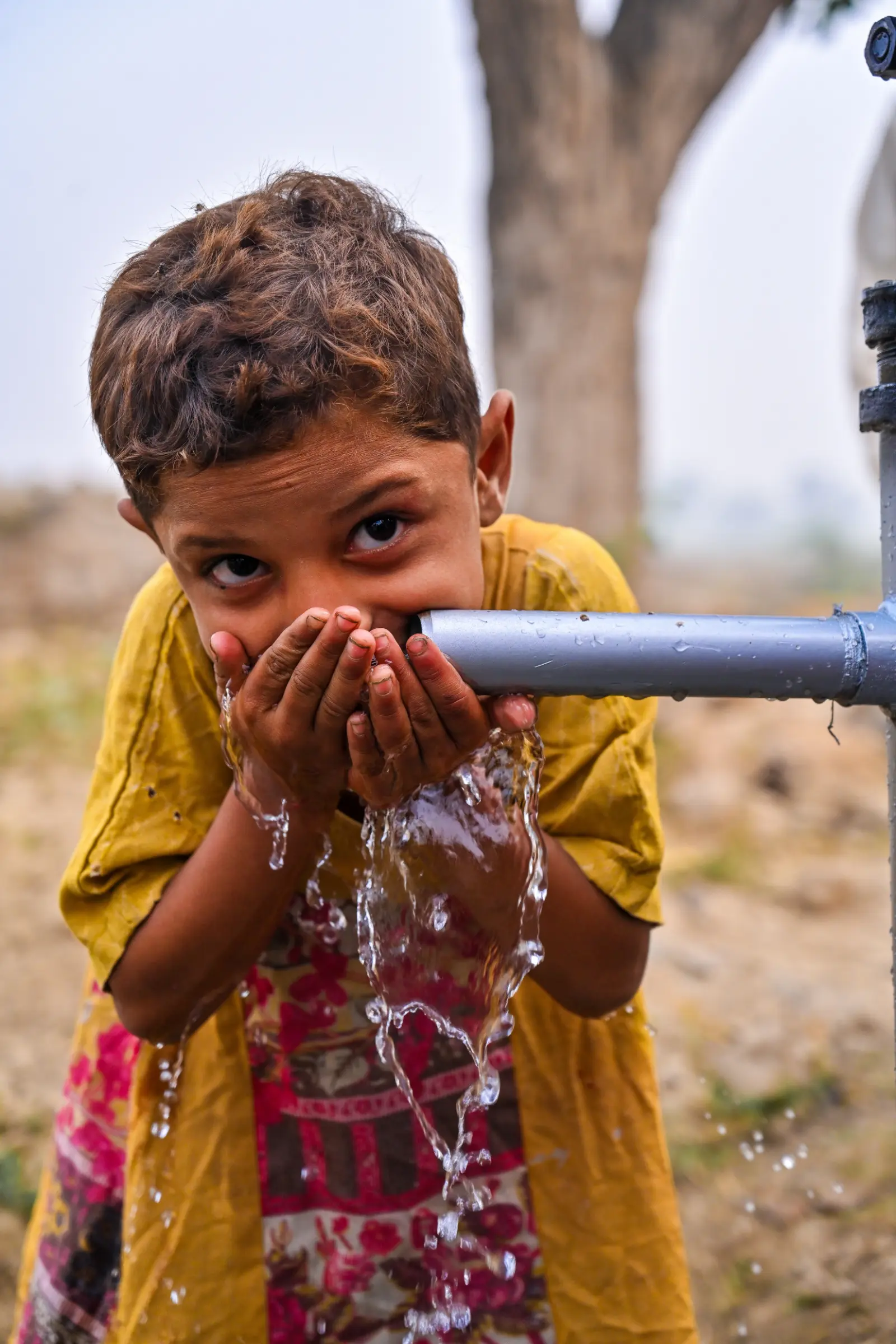 Clean Water, Pure Joy